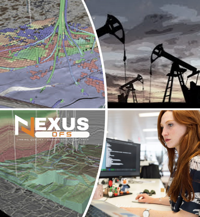 Mastering Petrel RE: Simulation, History Matching & Forecasting