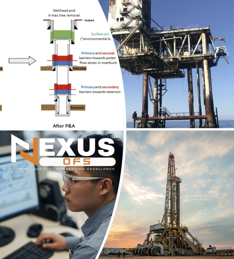 Well Plug & Abandonment Engineering