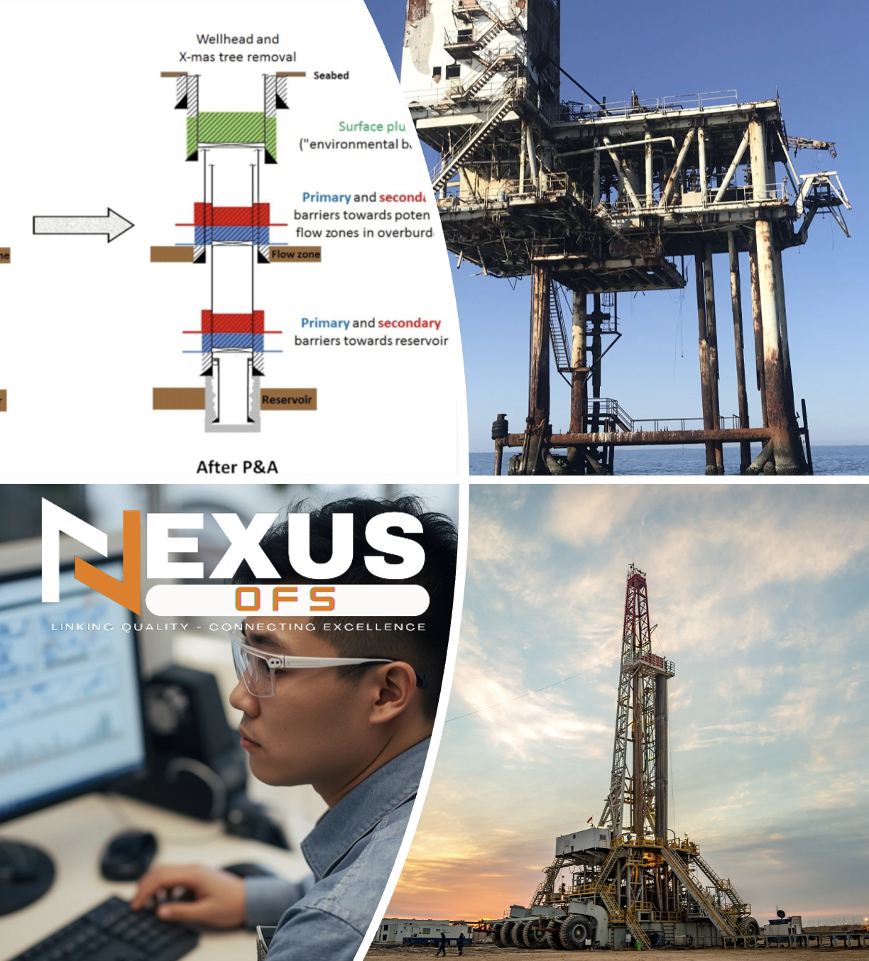 Well Plug & Abandonment Engineering